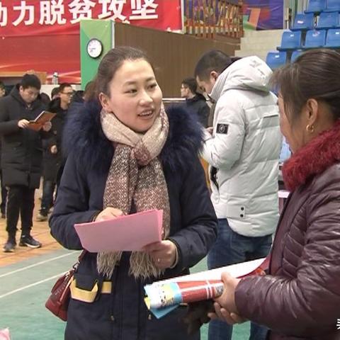 金湖縣招工信息大解析，最新崗位一網(wǎng)打盡