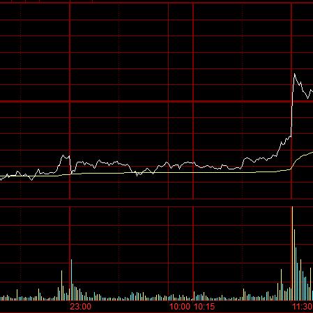 鄭棉最新動(dòng)態(tài)深度剖析