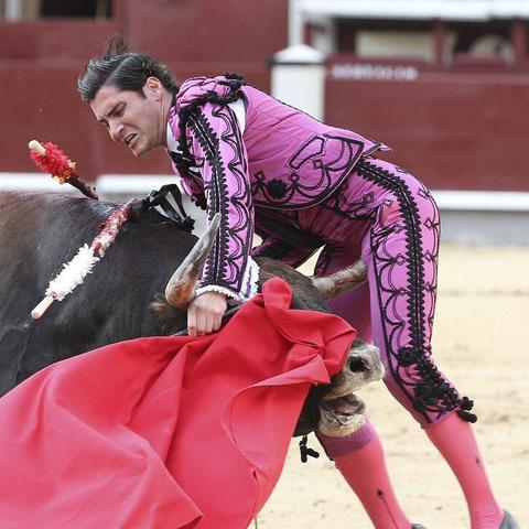 斗牛牛游戲，最新版下載及介紹體驗(yàn)