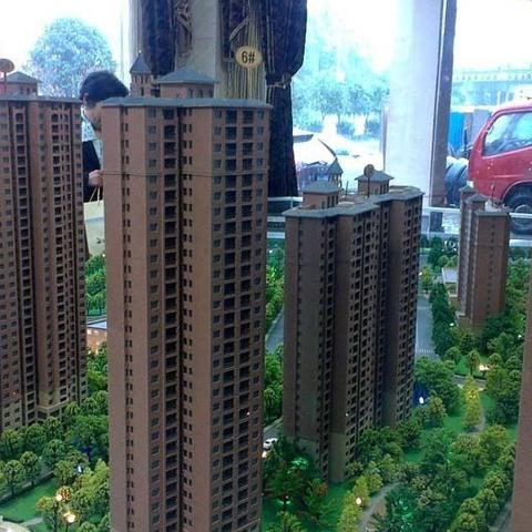 善化國(guó)際最新動(dòng)態(tài)報(bào)道