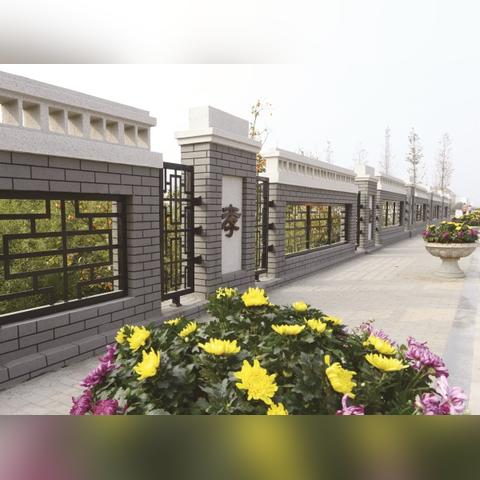 膠南泊里最新招聘信息全面解析