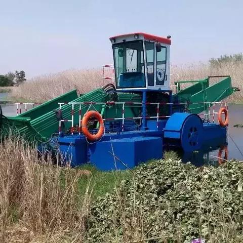 加納淘金動(dòng)態(tài)，最新消息匯總