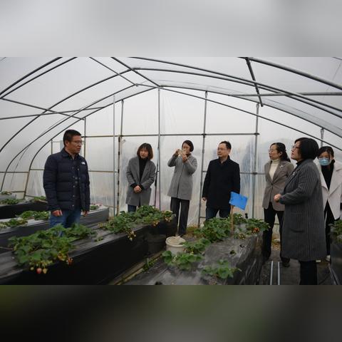 宜興芳橋最新招聘信息全面解析