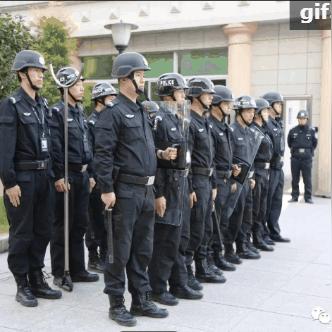 福鼎市最新招聘信息全面解析