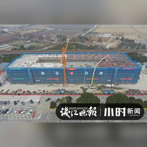 浙江嘉興最新動態(tài)全面解讀