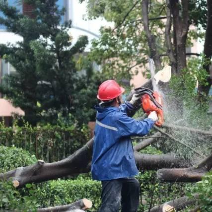 天鴿臺(tái)風(fēng)最新路徑分析概況