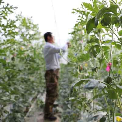 泗水超市招聘啟事，最新職位信息速遞
