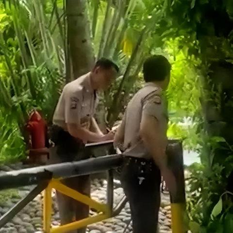 巴厘島兇案最新進展深度解讀