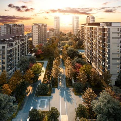 合肥市新站區(qū)發(fā)展最新動(dòng)態(tài)速遞