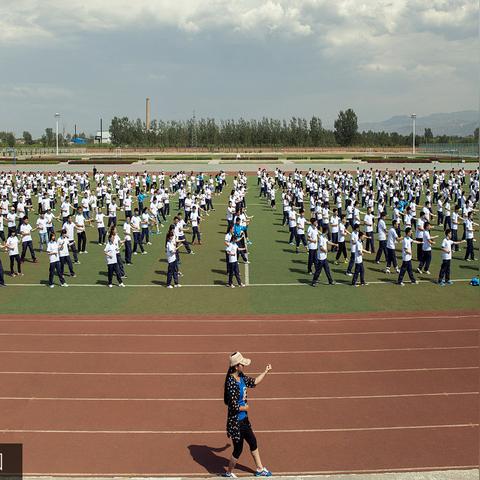 山西人才網最新招聘信息解析