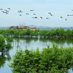 臺(tái)風(fēng)第4號(hào)最新消息報(bào)告，實(shí)時(shí)更新動(dòng)態(tài)