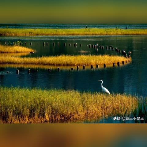 武漢五環(huán)線規(guī)劃詳解圖，最新規(guī)劃概覽