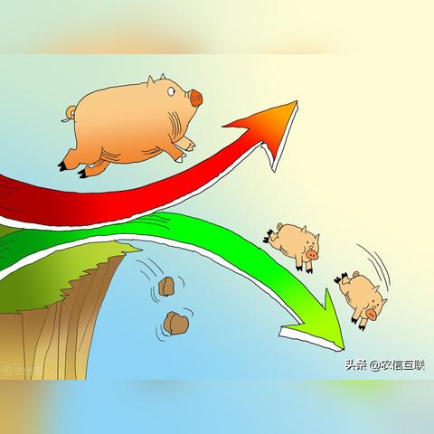 河北玉米最新價(jià)格走勢(shì)分析