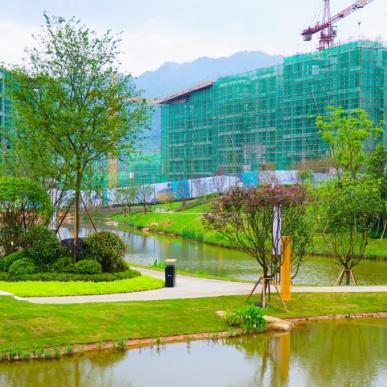 最新動(dòng)態(tài) 第44頁(yè)