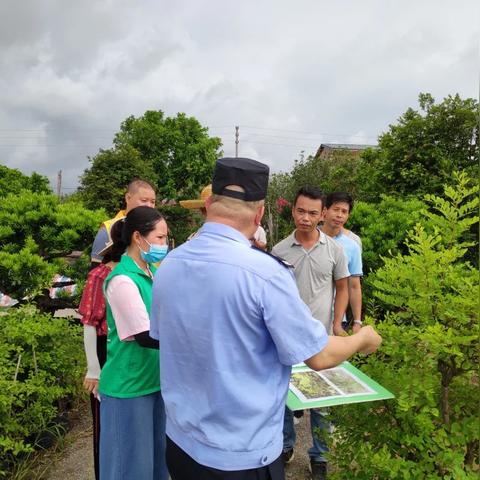 中山市三角鎮(zhèn)最新招聘信息全面解析