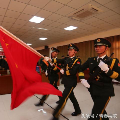 26集團(tuán)軍最新動態(tài)，深度報道揭秘最新消息