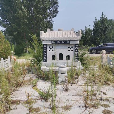 棗莊機場最新動態(tài)消息速遞