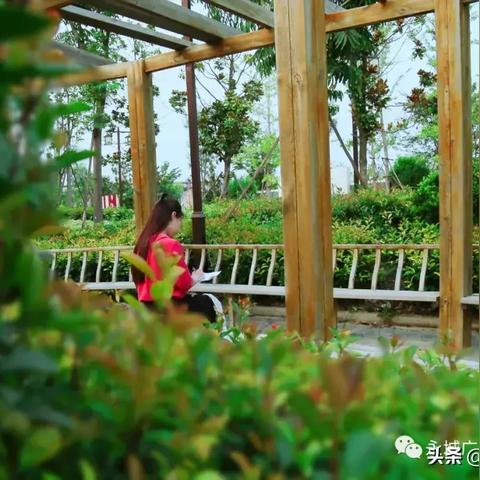 永城三輪車動態(tài)更新，最新消息匯總