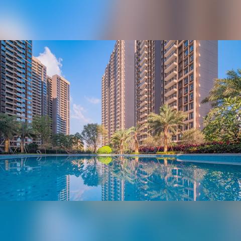 深茂高鐵二期最新進展消息速遞