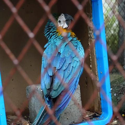 紹興野生動物園最新動態(tài)更新