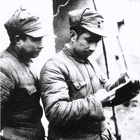 全球崩潰現(xiàn)象深度解析，最新數(shù)據(jù)分析與洞察報告