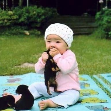 最新炒股段子解析，數(shù)據(jù)背后的故事揭秘