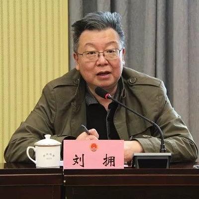 訴訟助手最新進(jìn)展，數(shù)據(jù)驅(qū)動(dòng)的洞察及其影響分析