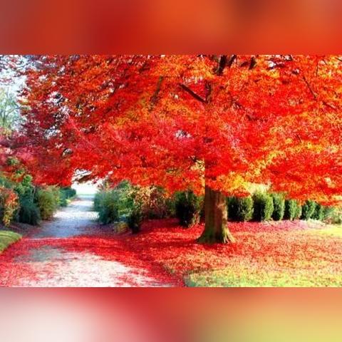 情趣露引領(lǐng)健康生活方式新潮流