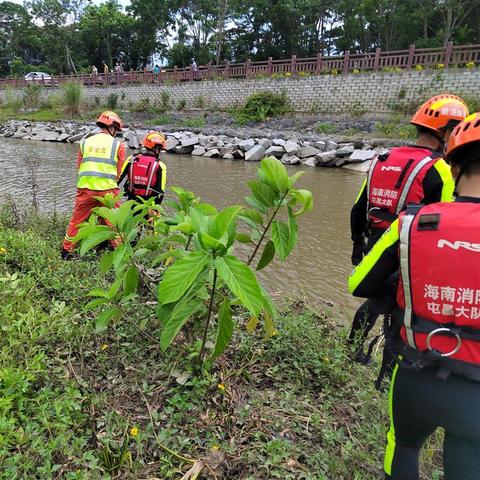 屯昌最新新聞動(dòng)態(tài)