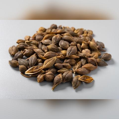 杜仲最新市場動態(tài)分析