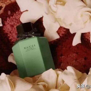 Flora視頻最新動(dòng)態(tài)，數(shù)字時(shí)代的綠色生態(tài)創(chuàng)新引領(lǐng)