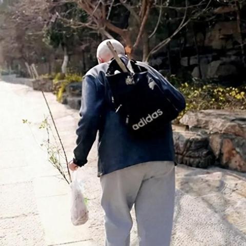 傳奇族長，深度剖析揭秘