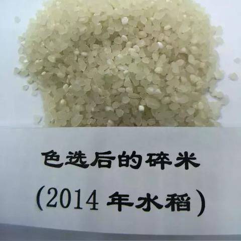 最新色選機技術(shù)引領(lǐng)物料分揀智能化革新