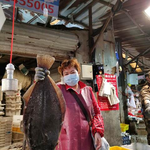 大菱鲆最新價(jià)格走勢(shì)分析