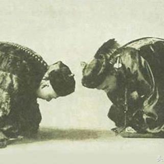 最新戰(zhàn)況概覽