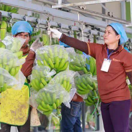 柬埔寨最新動態(tài)概覽