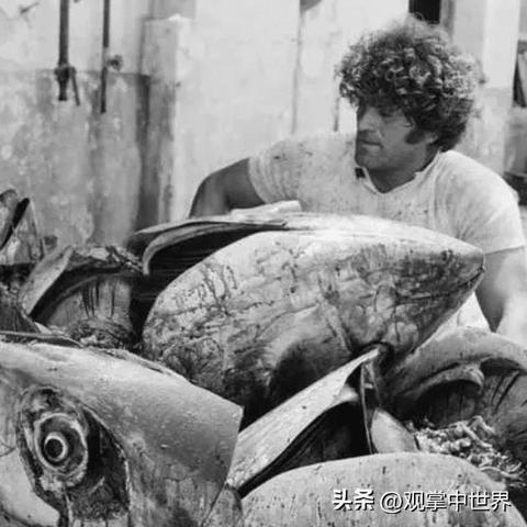 宰殺美女現(xiàn)象揭秘，數(shù)據(jù)真相與應(yīng)對策略