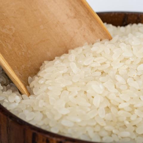 粳米最新價格走勢及分析