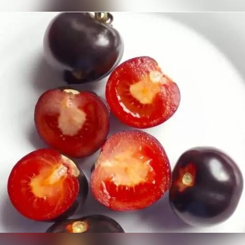 蕃茄價(jià)格行情最新報(bào)告