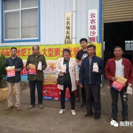 新野蔬菜價格走勢及分析