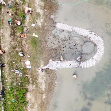 嘉善土拍最新動(dòng)態(tài)分析