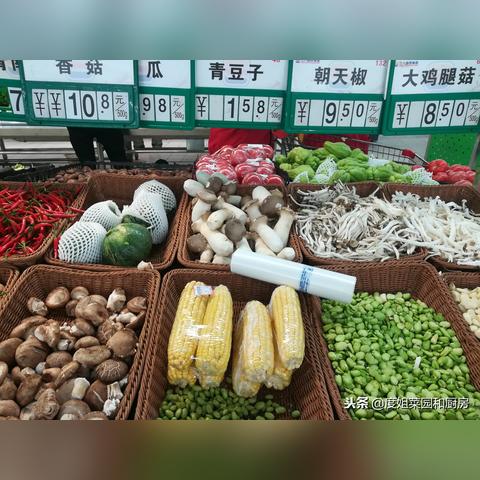 青豆價(jià)格行情最新分析