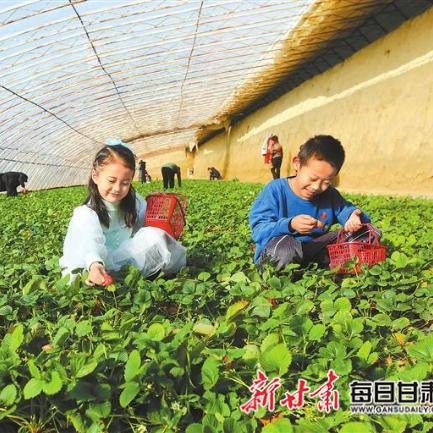 嘉峪關(guān)最新新聞動態(tài)更新