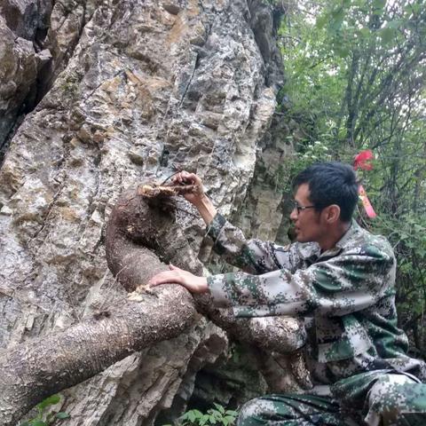 神池最新新聞速遞