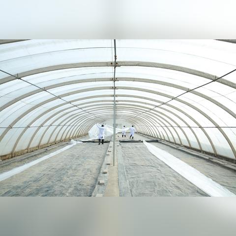 靈寶市朱陽鎮(zhèn)發(fā)展動態(tài)更新報告