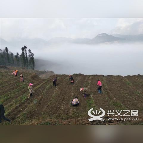 貴州高考最新消息解讀，2025年全面更新政策