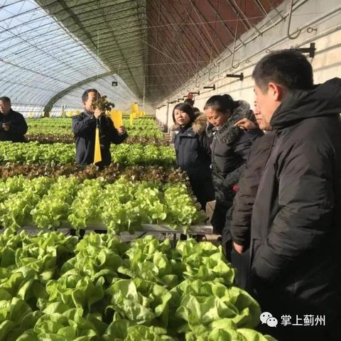 天津市薊州區(qū)新聞速遞