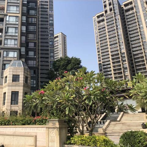 58同城雙城二手房市場深度解析報(bào)告