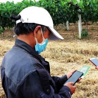 寶雞二手收割機交易最新分析