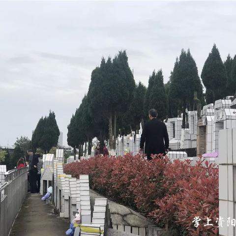 諸城蓮花山公墓最新價格表概覽